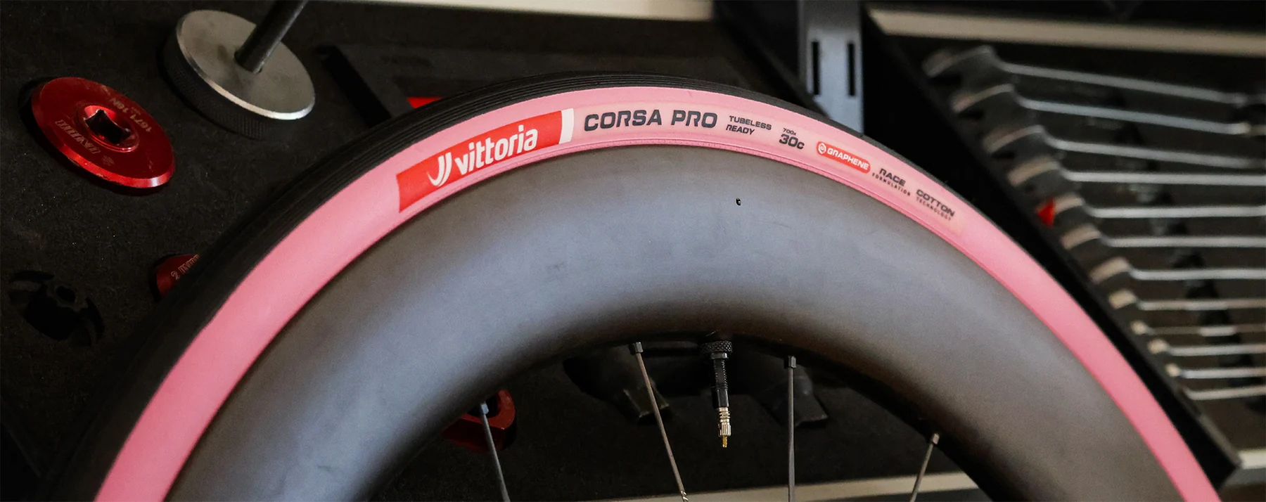 Master Every Terrain With Vittoria